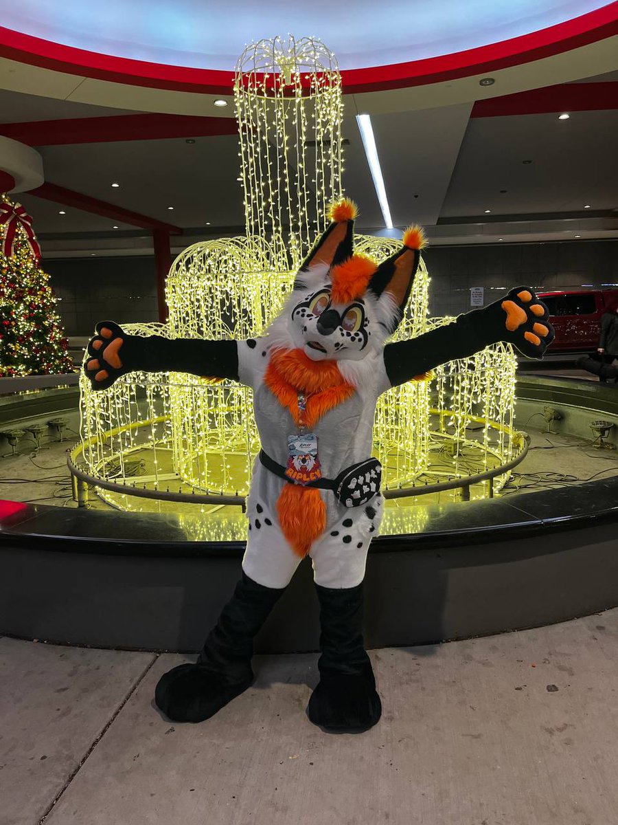 🎃Ripley🎃 tweet media