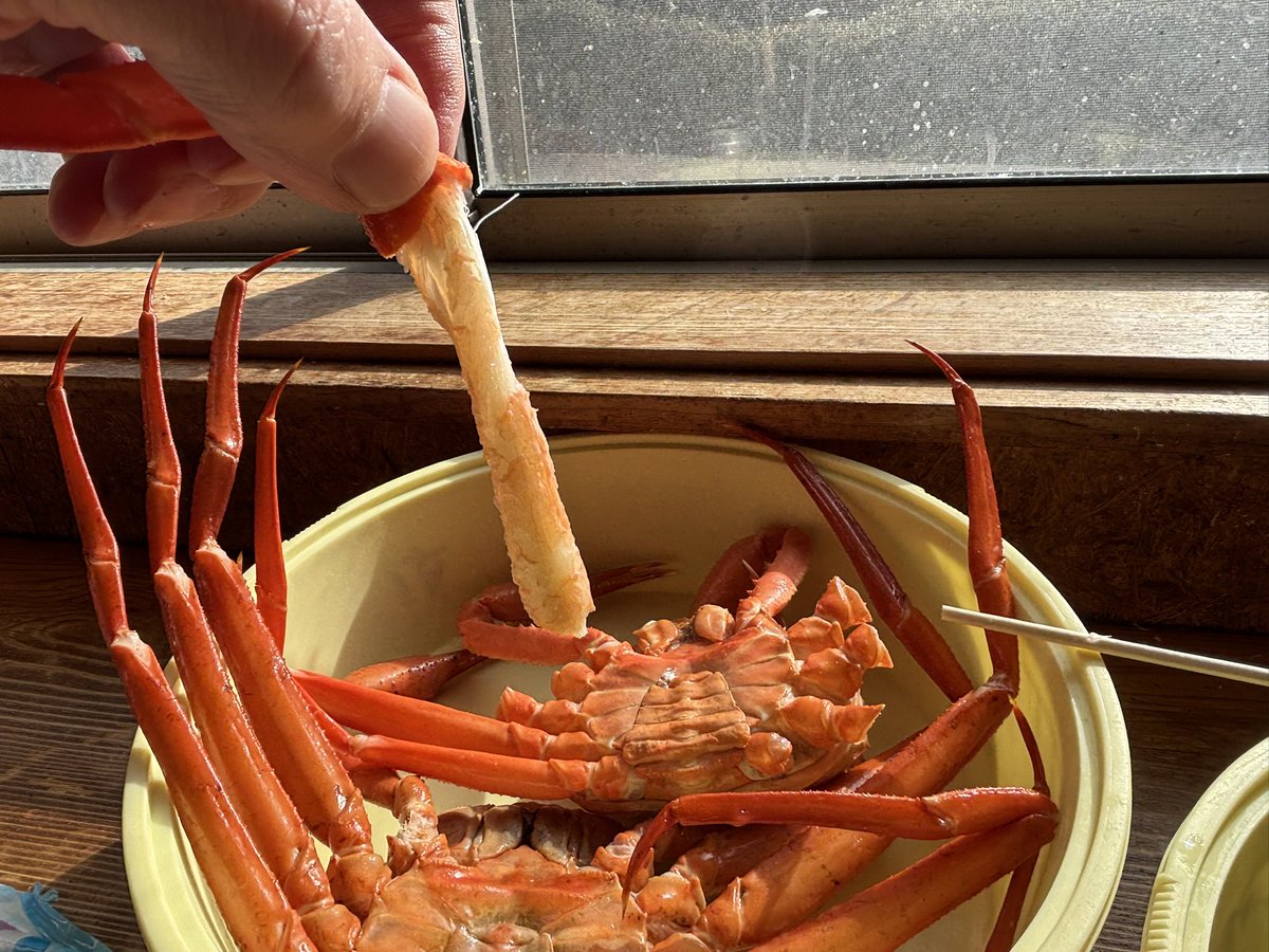 プロフ見て下さい☺︎ ふらさん (@flag_mark2) / Posts / X