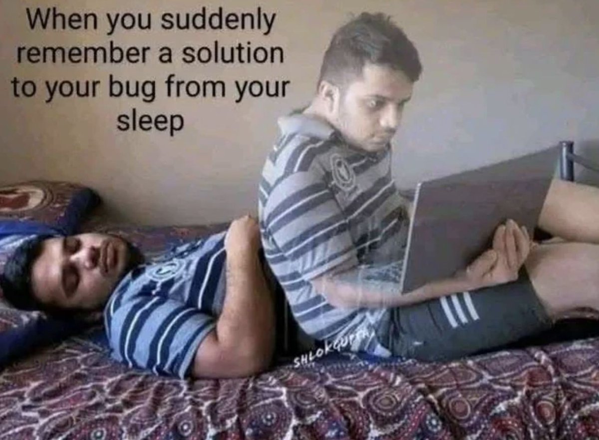 bjellesma's tweet image. Honestly the best nights are when I figure out a bug in my dream and then save time the next day #ProgrammerHumor #reddit