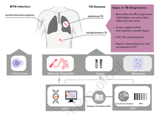 Revisiting tuberculosis diagnostics: progress, pitfalls, and future directions

doi.org/10.1016/j.cmi.…