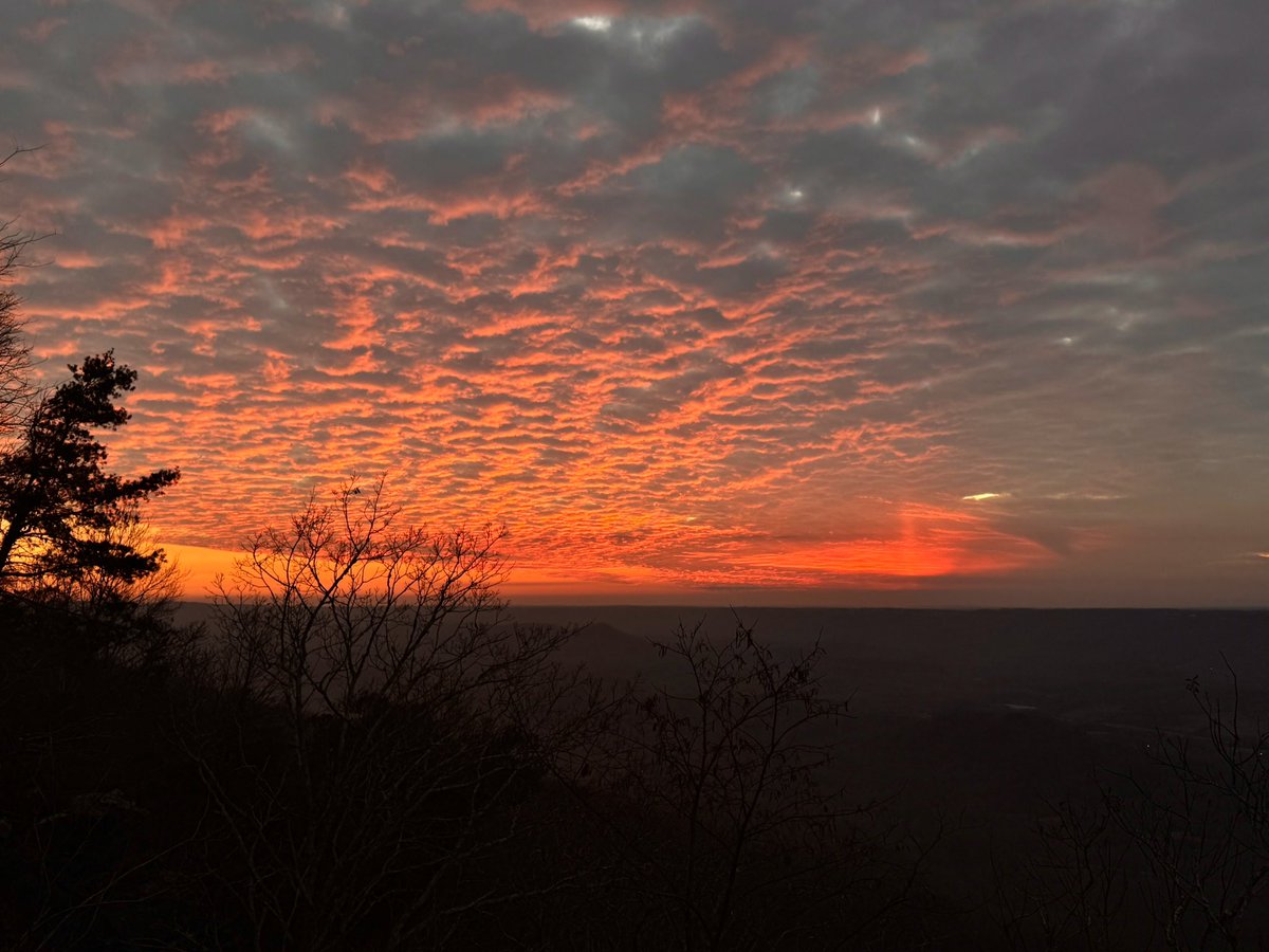 Rachel Callahan tweet media