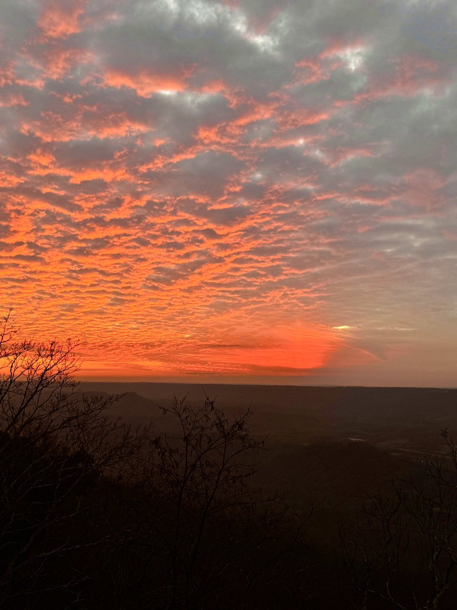 Rachel Callahan tweet media