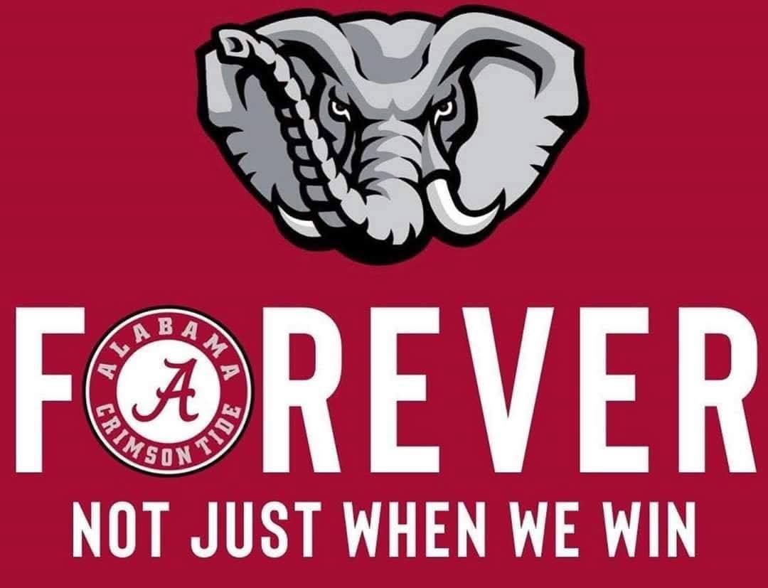 🐘🅰️🌊
