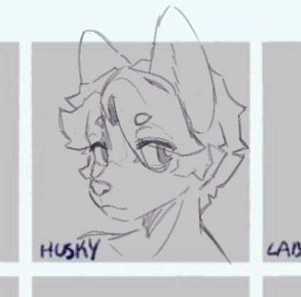 Feonalt's tweet image. Studying how to draw head ✍️