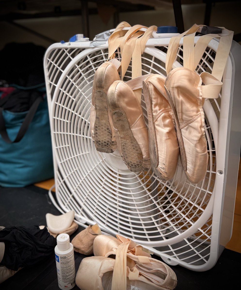 SNEAK PEEK BACKSTAGE 🩰
You don’t want to miss Homer Nutcracker Ballet 
These dancers have worked hard to bring you all the magic and wonder of a beautiful production! 

This might the 10th year for the Vance family. 😅 Look for Hadassah: she is dancing in 5 scenes and couldn’be
