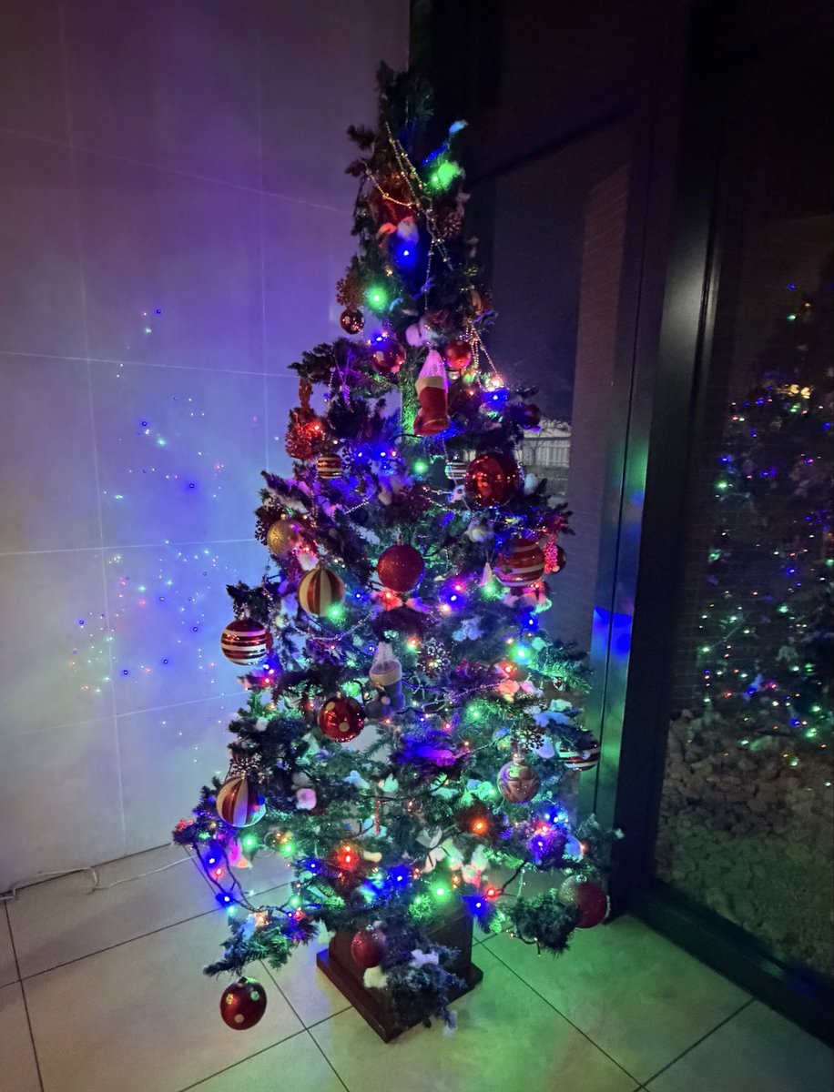 おはようございます☀️12月、今年もまた一段と早くなりました。マンションに飾られたクリスマスツリーを見ると、もうこんな季節かと時の流れの早さに気付かされます。みなさん、今年一年はどんな年でしたでしょうか？来年に向けてそろそろ準備をしないとですね。