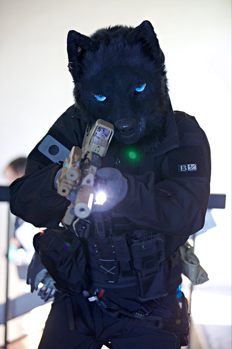 みかん犬🍊🍊 (@tag7master) / Posts / X