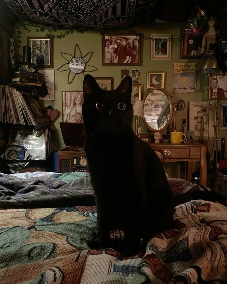 Black. (@blackdreamvibes) on Twitter photo 