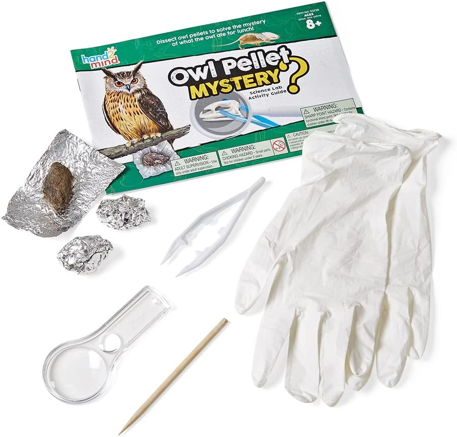 frugalfreebies's tweet image. Your kid wants “cool gross science”? Say less. 🦉🔬
This hand2mind Animal Science Kit 
With 10 experiments + owl pellet dissection — is 53% off.
Amazon: joylink.io/amazon/hand2mi… (ad)
#STEMToys #DealAlert