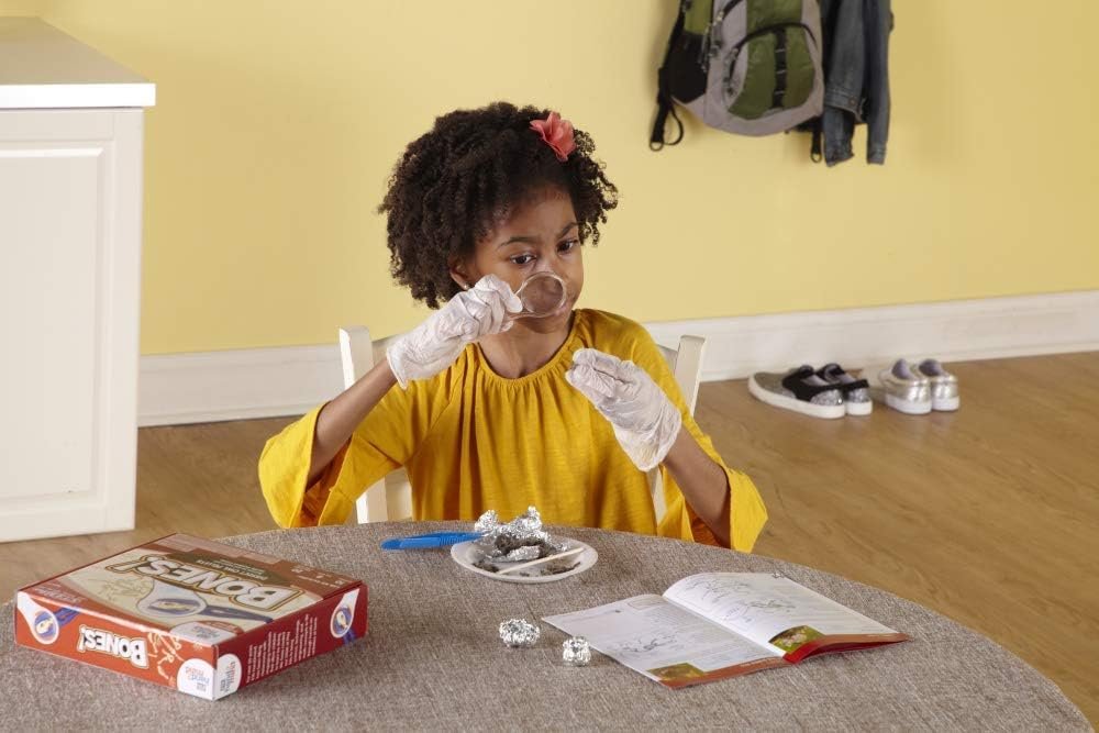 frugalfreebies's tweet image. Your kid wants “cool gross science”? Say less. 🦉🔬
This hand2mind Animal Science Kit 
With 10 experiments + owl pellet dissection — is 53% off.
Amazon: joylink.io/amazon/hand2mi… (ad)
#STEMToys #DealAlert