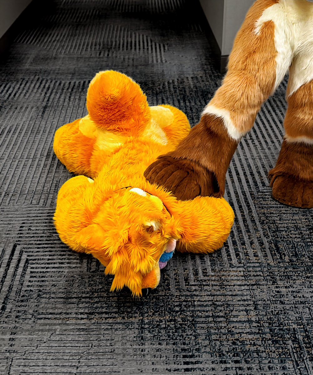 Zuo🐅 🔜LVFC;FWA;AC tweet media