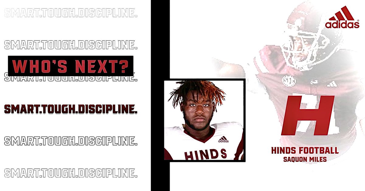 Terrian Dora tweet media