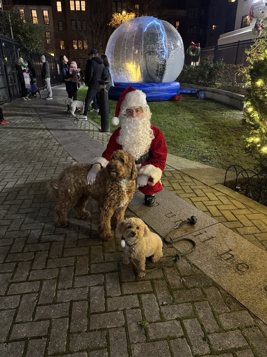 Steven McCarty tweet media