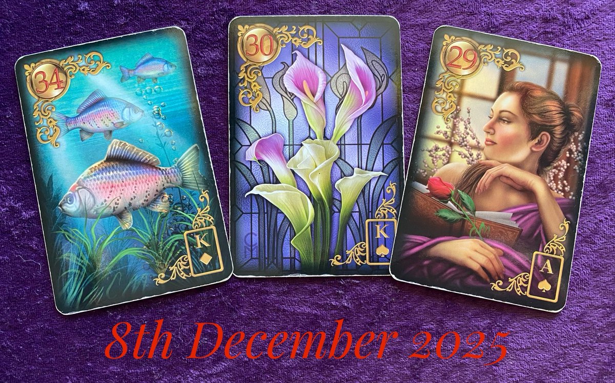 rosboundy's tweet photo. 🔮 8th December 2025 🔮 the Daily Lenormand cards. https://t.co/b6FXNqBBnC