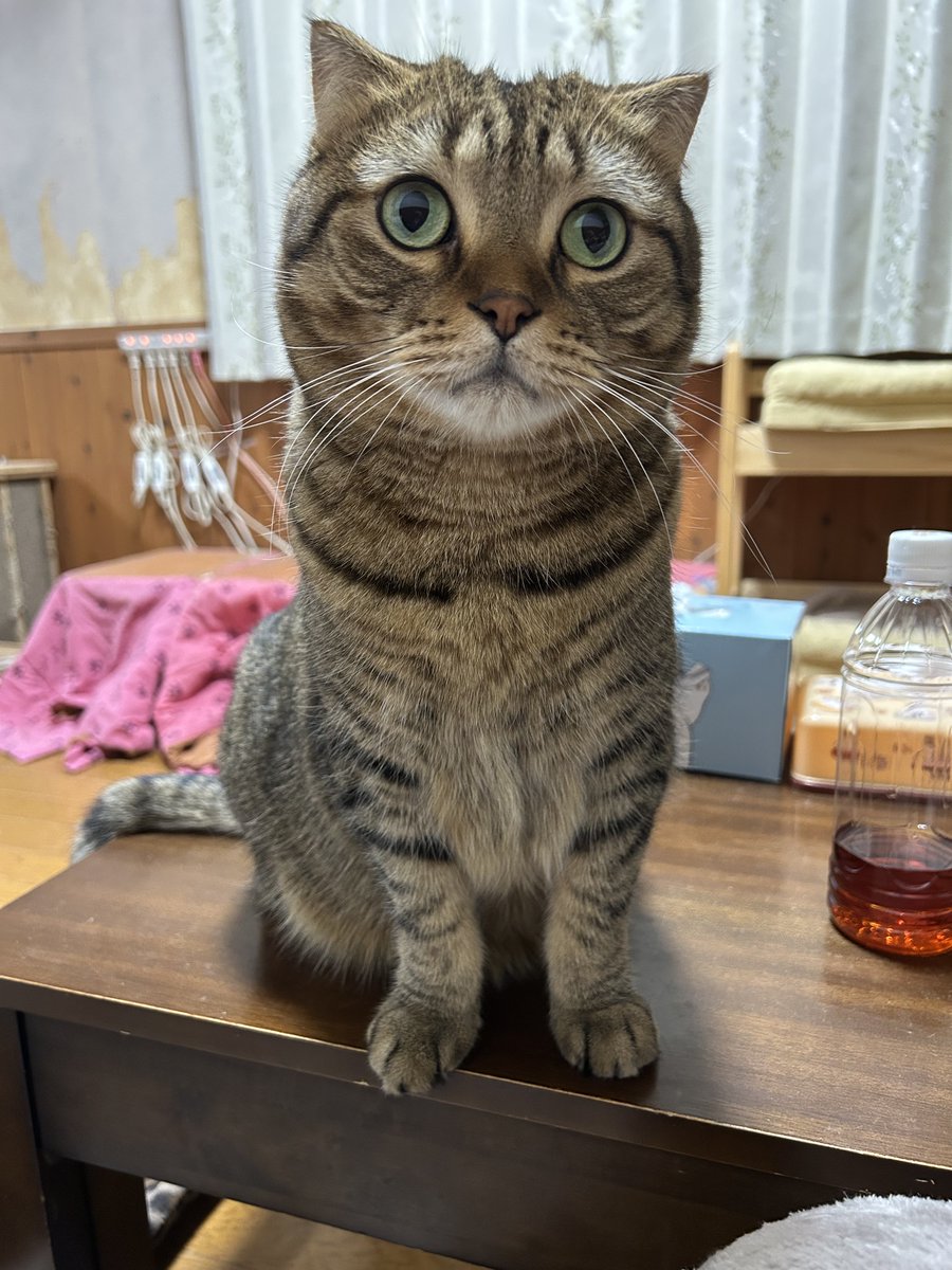 はると (@tomeji1106) / Posts / X