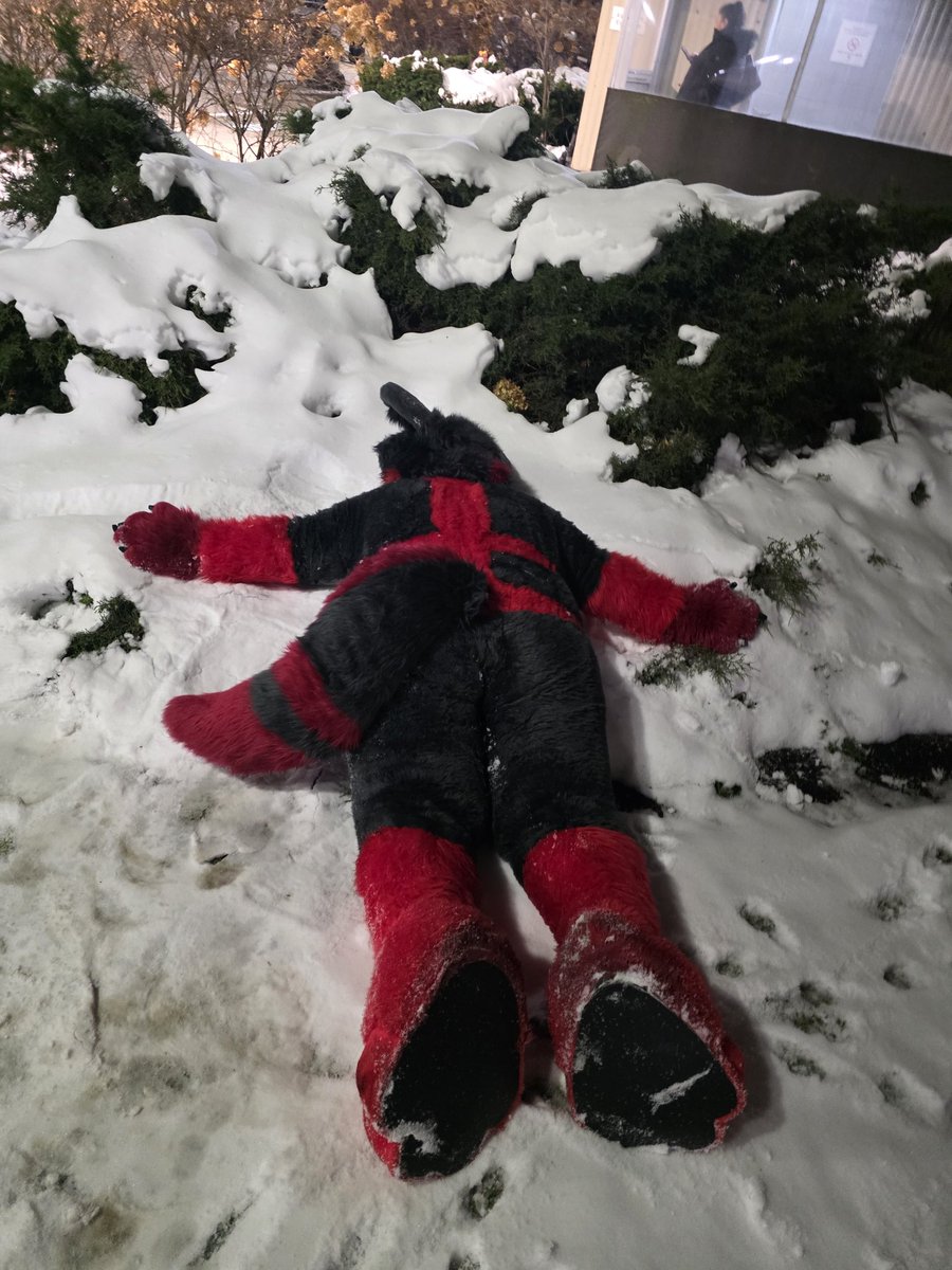 Blade The Wolf tweet media