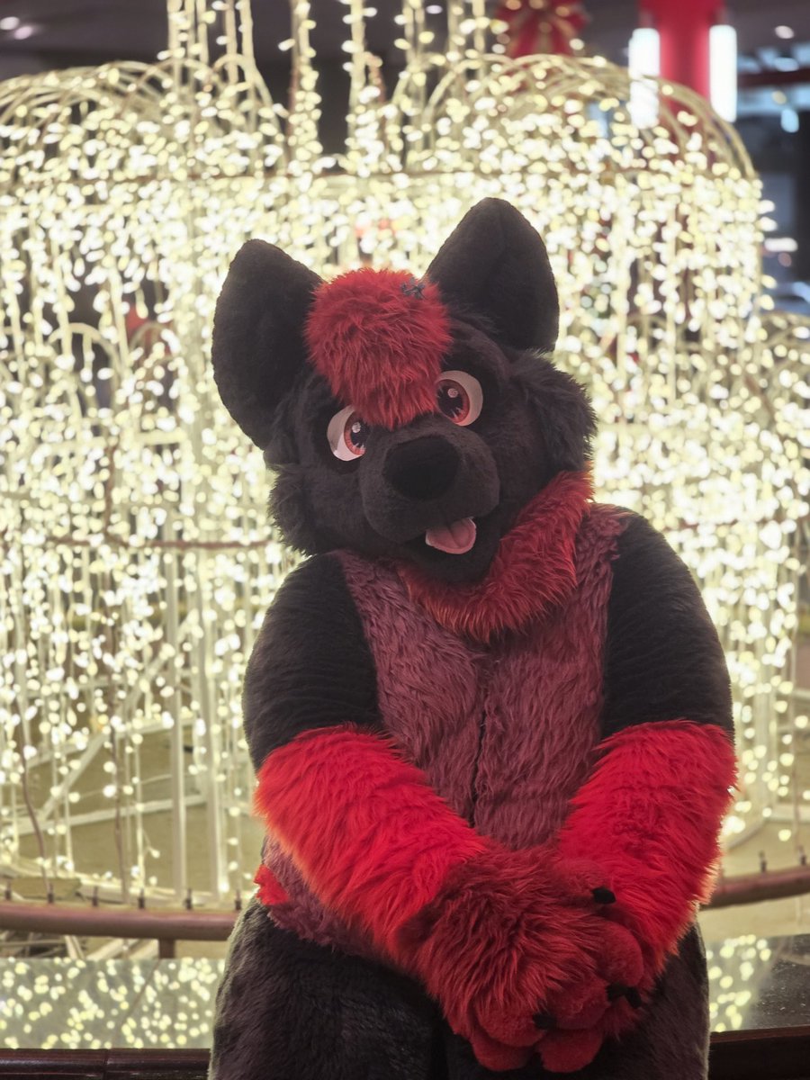 Blade The Wolf tweet media