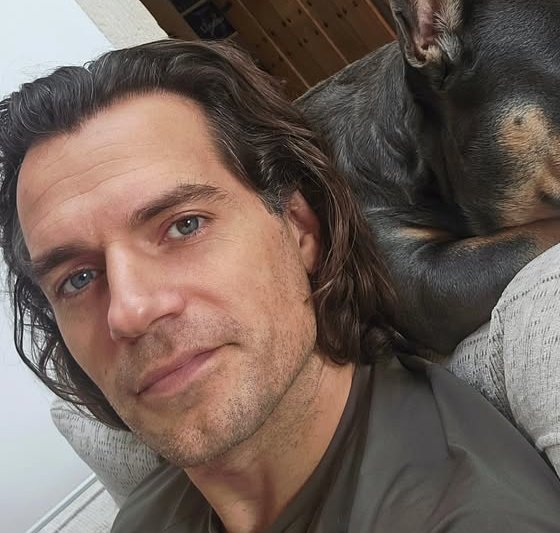 acervo laura palmer tweet media