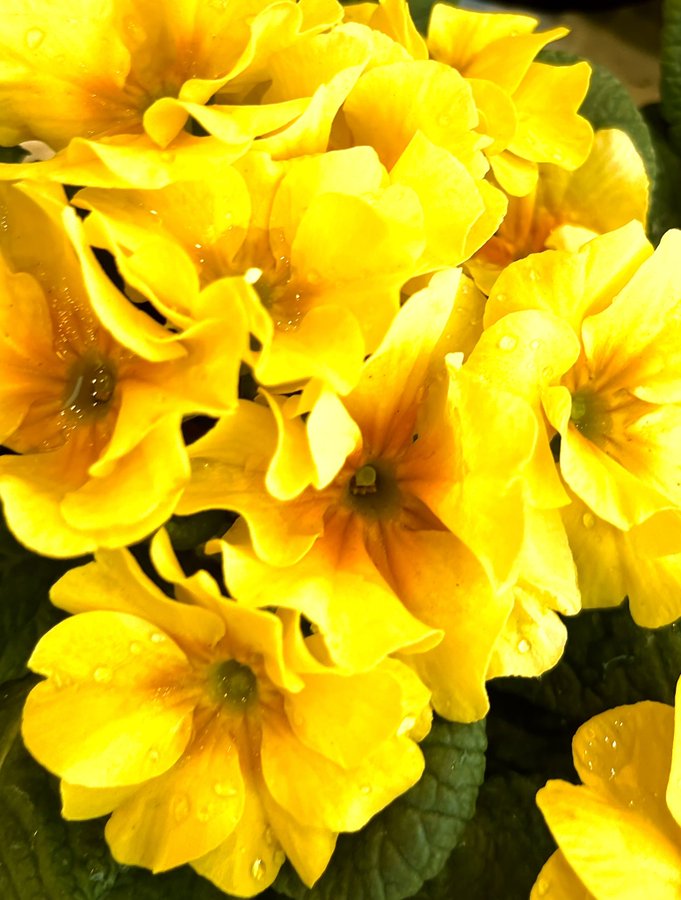 \[V}KWwRXfBAhbgR!!x:ŐV𐏎XV!!