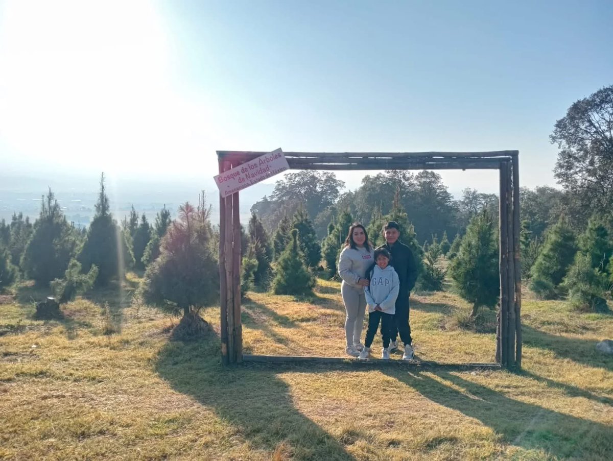 En Amecameca, #Edoméx, existe un lugar donde la Navidad también significa reforestación. 🎄✨

El Bosque de los Árboles de Navidad “El Cascanueces” es la plantación más grande del mundo en su tipo, un vivero modelo donde cada año nacen cientos de miles de árboles que después