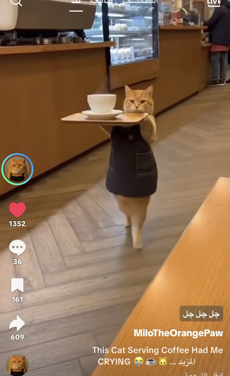 اللي يعرف اسم المقهى يقولي