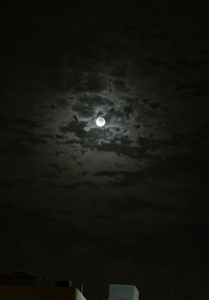 mesh3lm7's tweet photo. يا ليل.. علّم هالنجوم اسرارنا
وإكتب.. حكايات الهوى في غيمها !

" أنا و عطره و المطر وأشواقنا " 
كلٍ سِكن في قلب الآخر ضيمها ! https://t.co/FzYYnx5iVJ