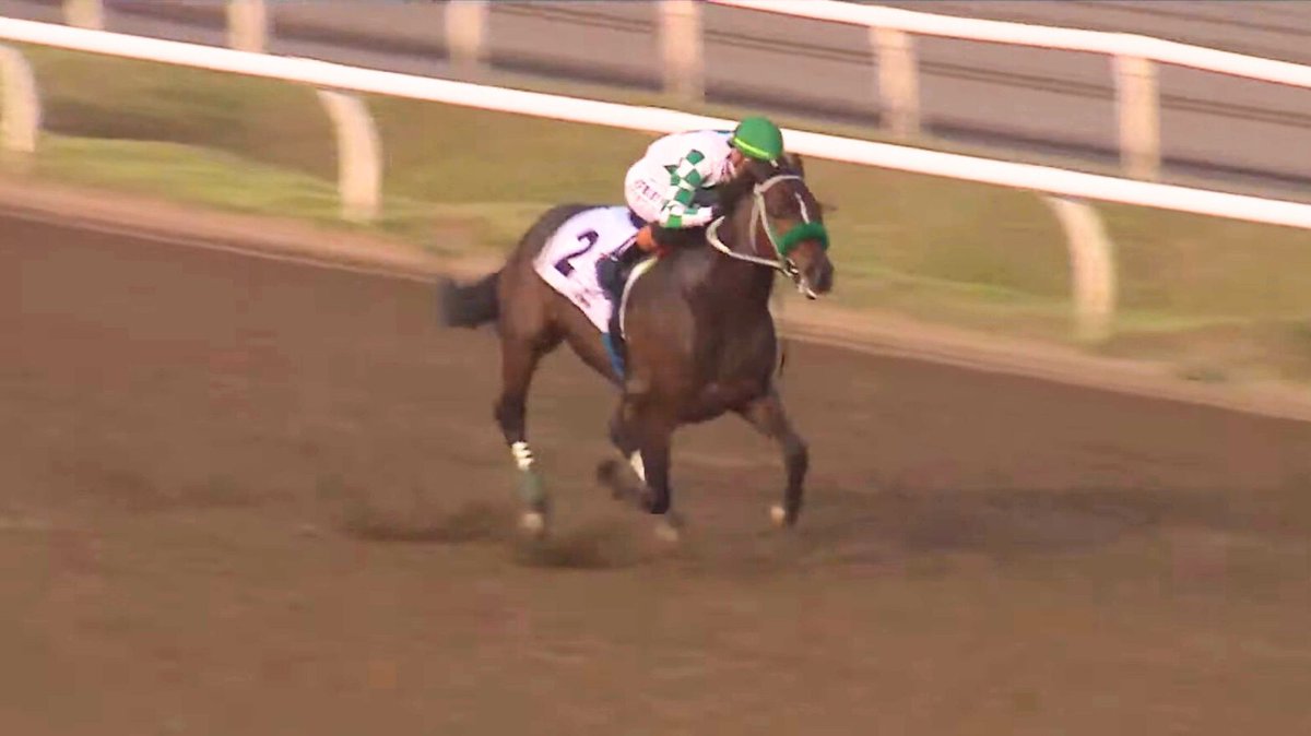 Lodyto Race (de México) 🐎 gana sin oposición la edición 57 del Clásico Internacional del Caribe, celebrado este domingo en Panamá, con el jinete puertorriqueño Irad Ortiz Jr.
