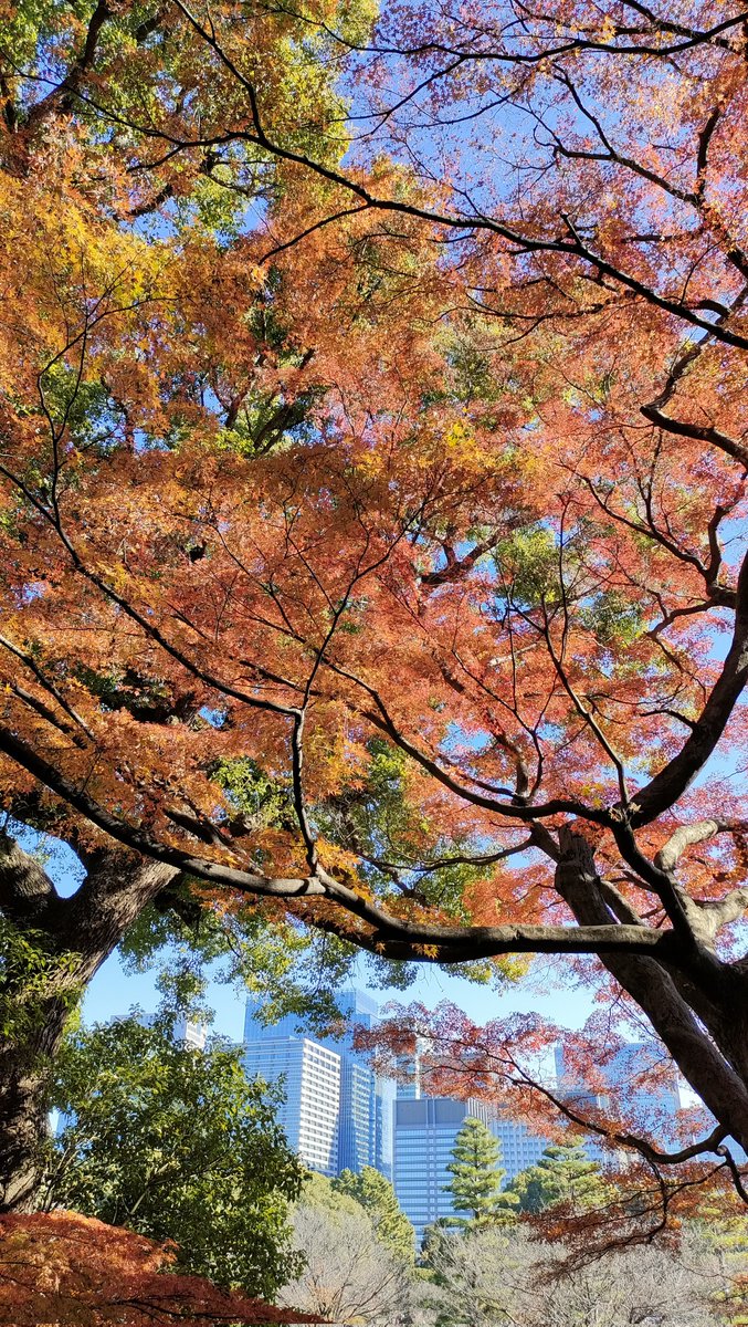 火曜日のよもぎ🍡 tweet media