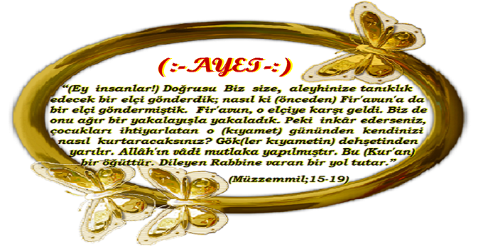 Gönülden İnciler (@omrysfcs) on Twitter photo 