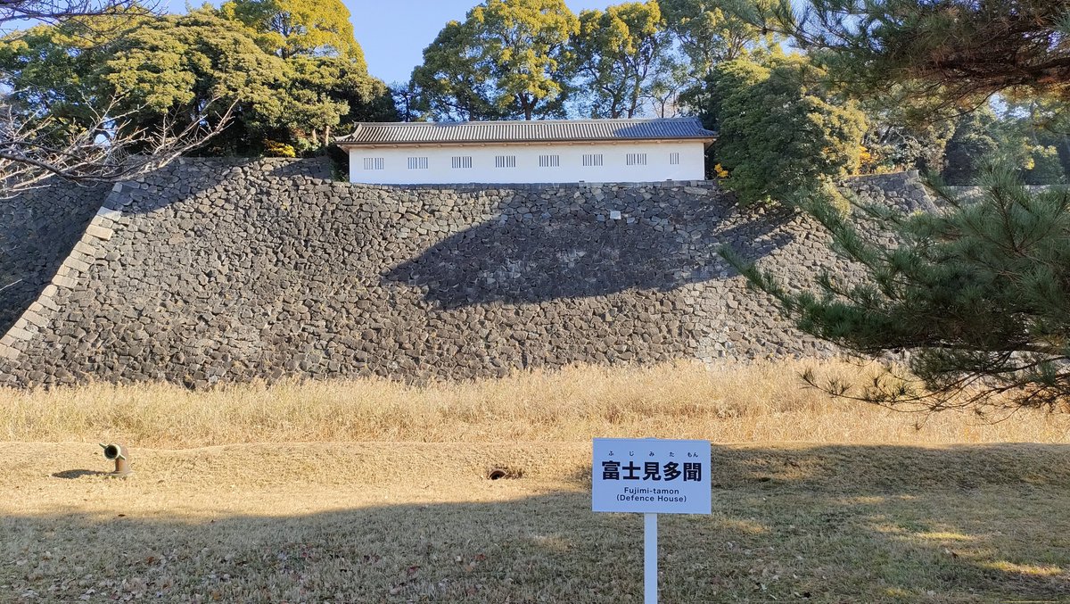 火曜日のよもぎ🍡 tweet media