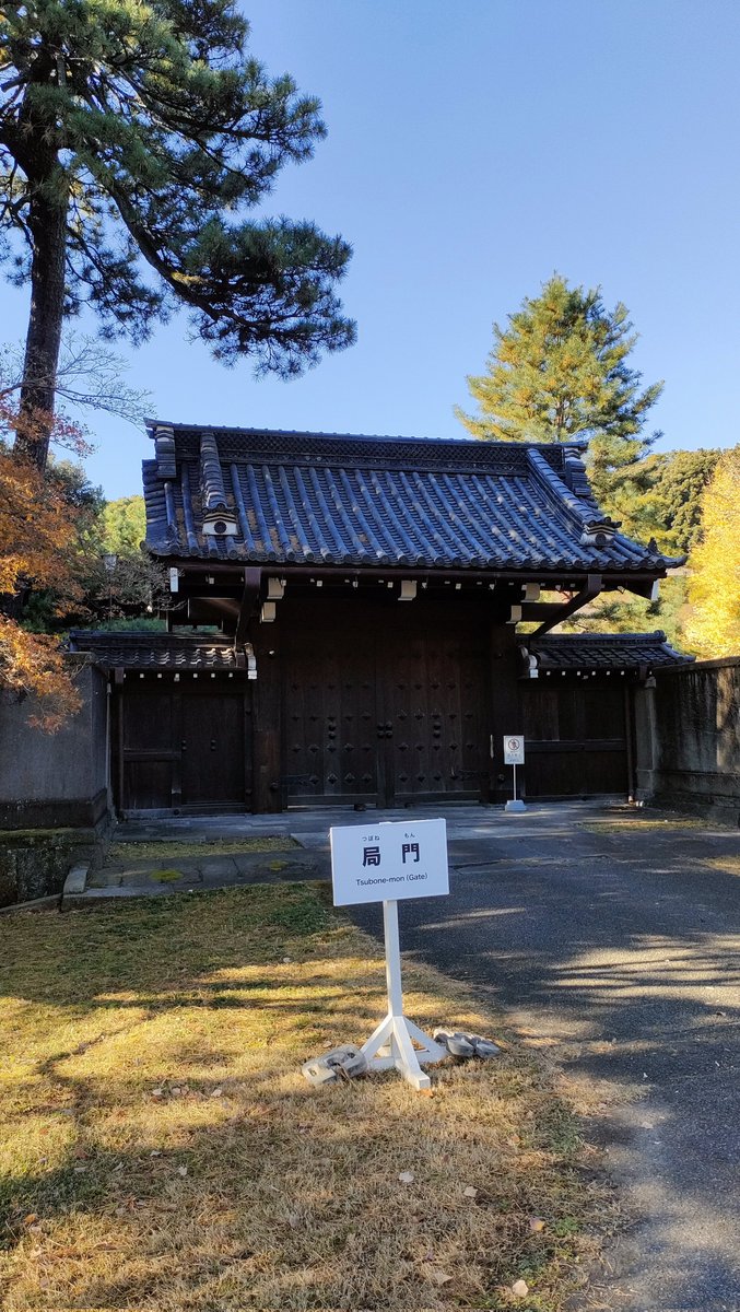 火曜日のよもぎ🍡 tweet media