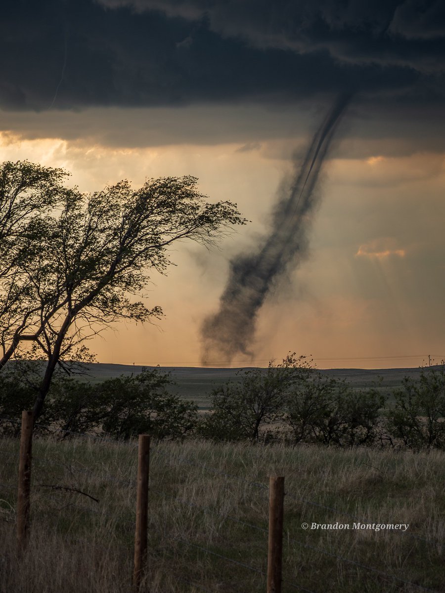 Brandon Montgomery tweet media