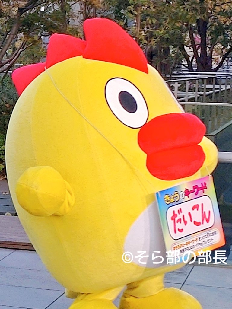 G7mlhUSb0AAjn55.jpg?format=jpg