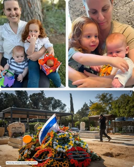 Eli Afriat 🇮🇱 tweet media