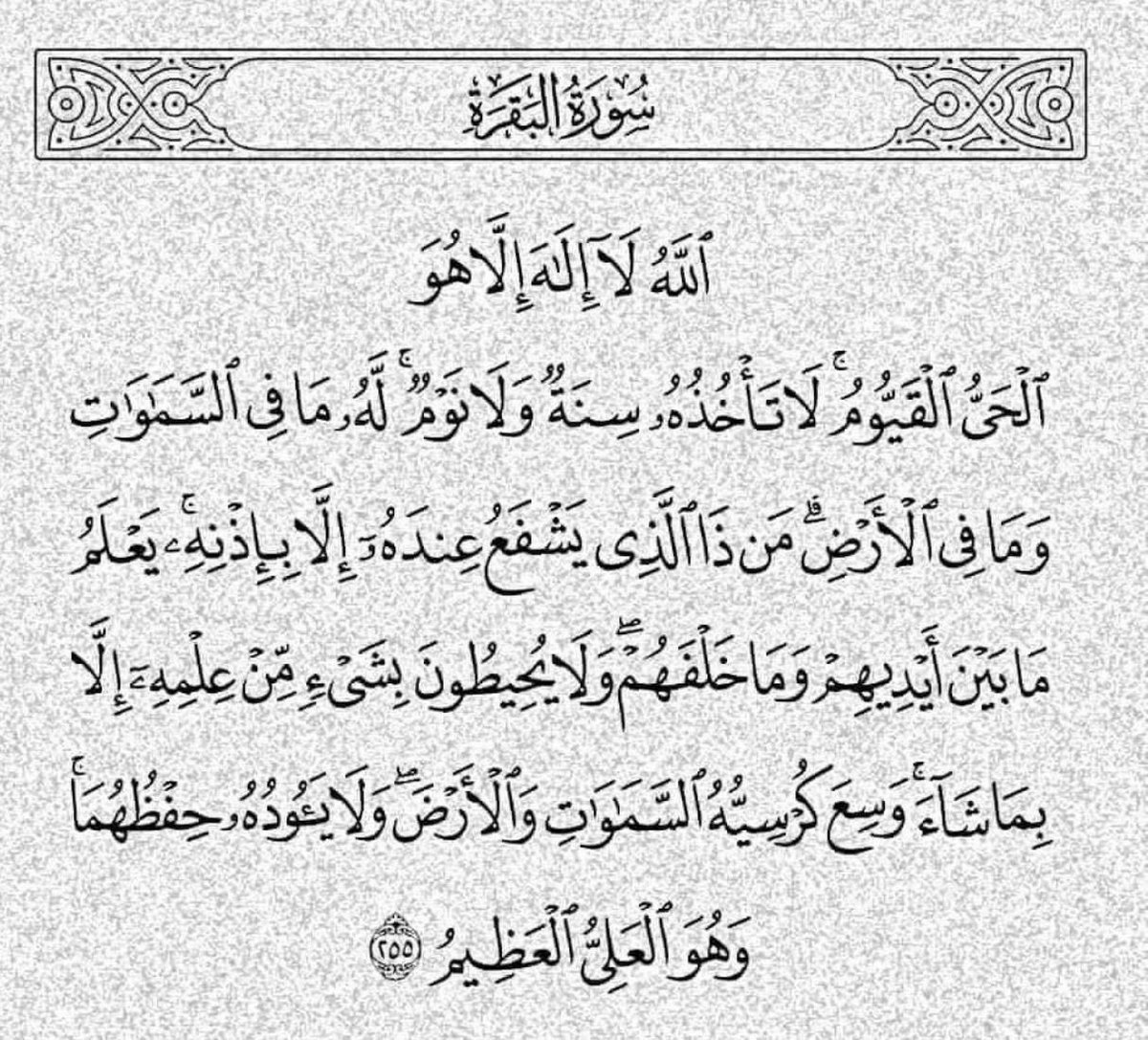 gemninve's tweet photo. عجيبٌ أن تنامَ بغَيرِ وترٍ!
ولا تركع ولو للهِ ركعة 

ألا ترجو من الرحمنِ قُربًا!
و فضلًا من إلهكَ بل ورفعة؟ 

فلا تترك إذاً ما دمتَ حيًا
قُبيلَ النومِ وترًا لو بركعة

- الوتر 💜🌿 https://t.co/g0KSscvAYk