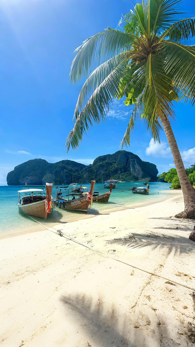 ra77aI's tweet image. 