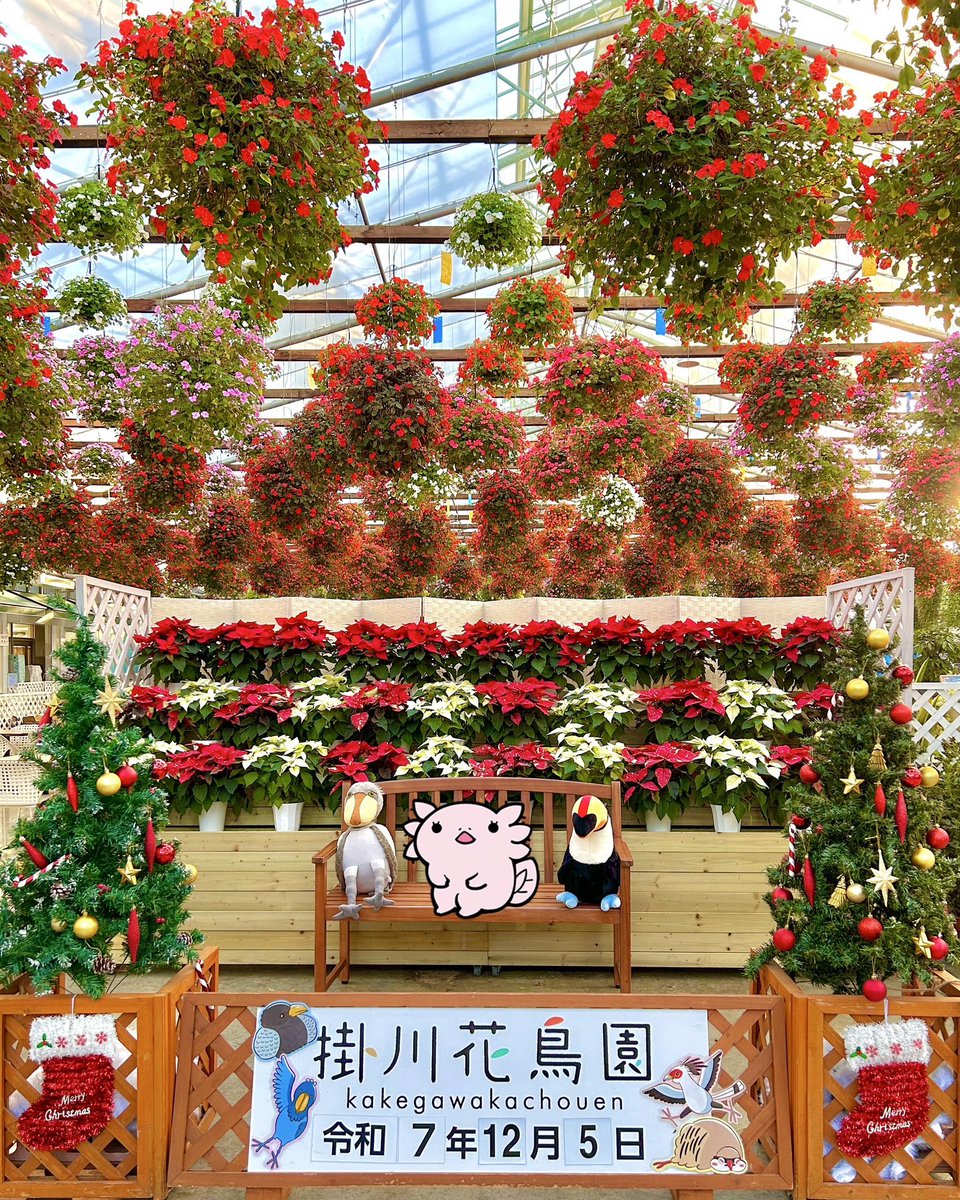 ユキンタ🎨🖌⌇ｳｰﾊﾟｰﾙｰﾊﾟｰイラスト (@yukinta_art) / Posts / X