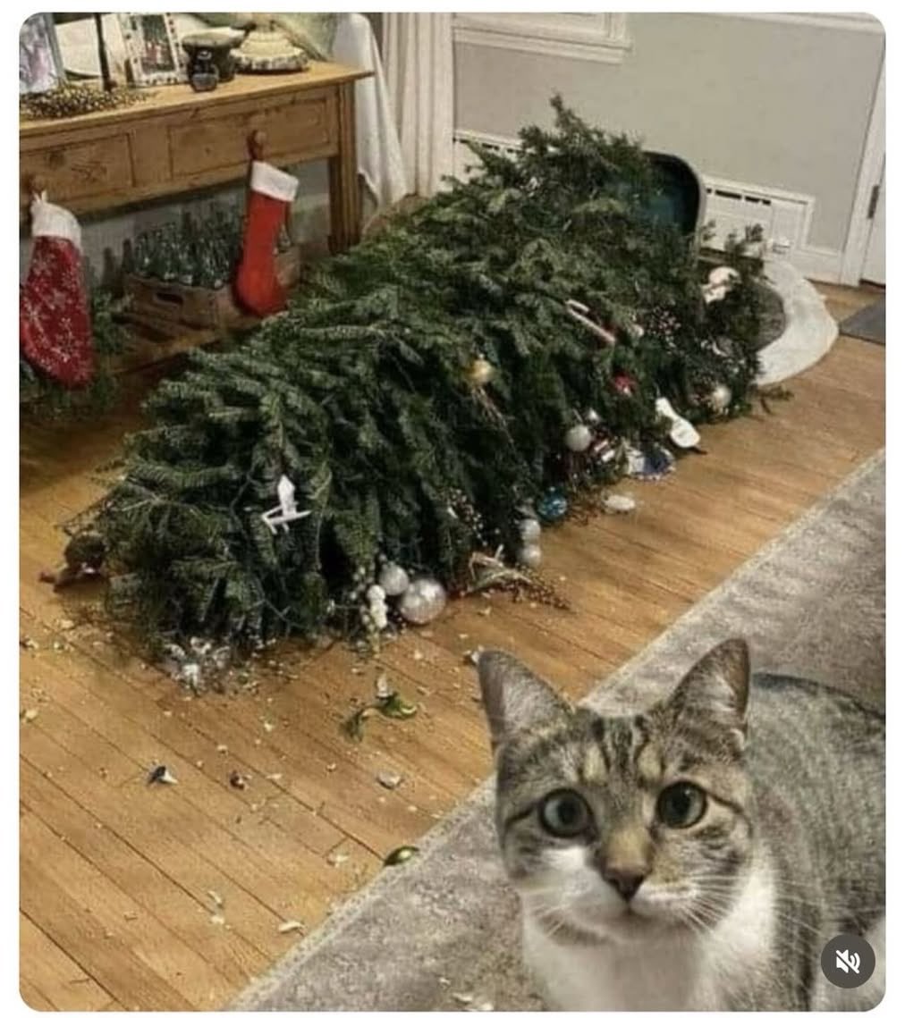 ᗰᗩƳᖇᗩ tweet media