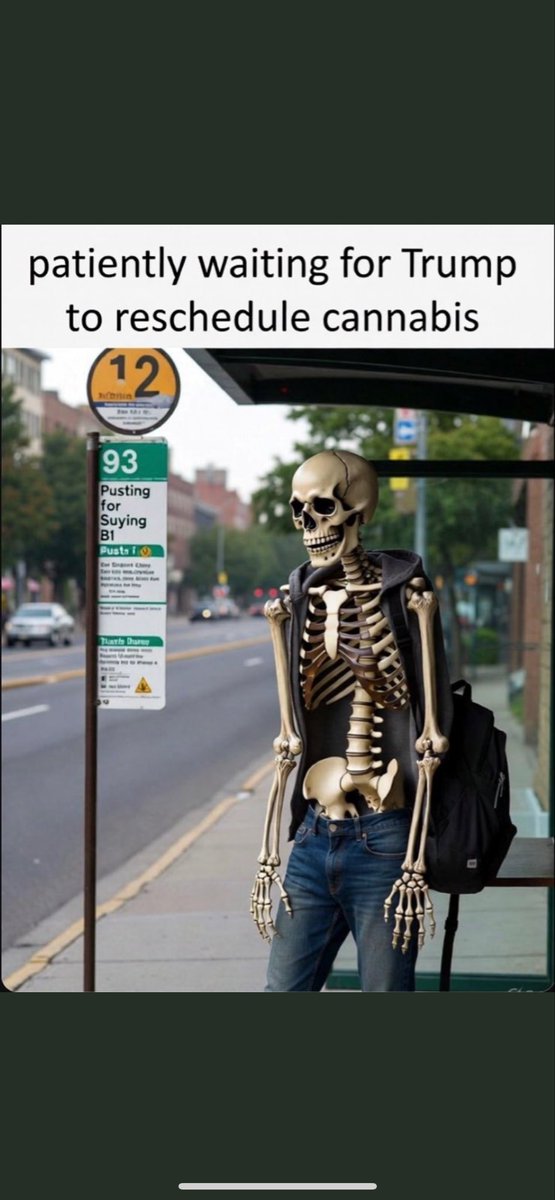 BryanJBerner's tweet photo. Going on over 16 weeks since @realDonaldTrump ‘s “In a few weeks” comment regarding #ReschedulingMarijuana. #ReScheduleCannabis Literally 118 days of allowing people to go without medicine, Research halted, Businesses going bankrupt, retail investors being fleeced, people being arrested, lives being ruined. All for political timing?