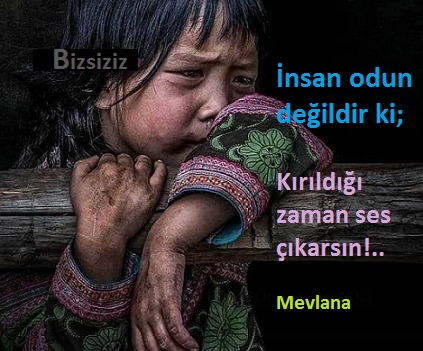 BizsizizBilim's tweet photo. #odun #insan #çocuk #mevlana #kırılmak #incinmek https://t.co/MRG5vDipuz