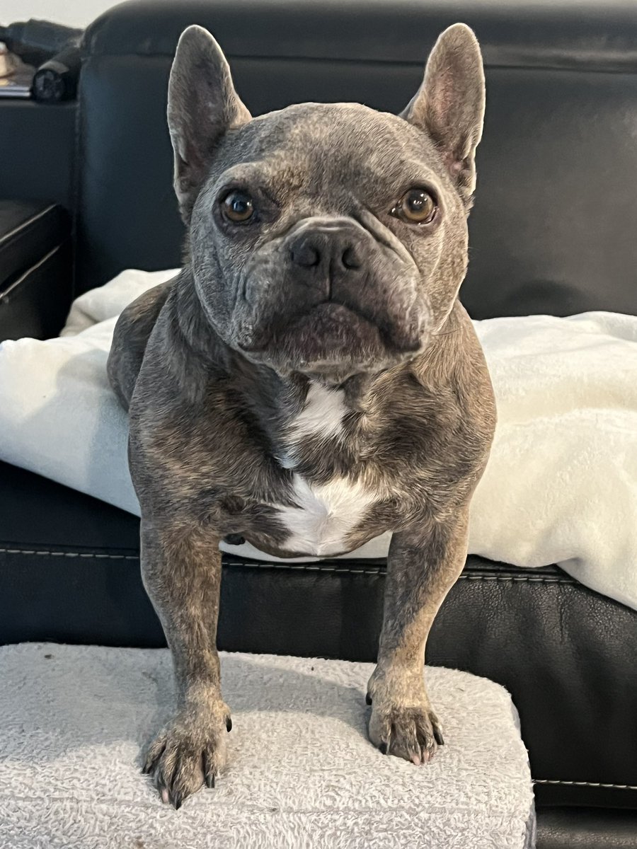 KoffeeKandi tweet media