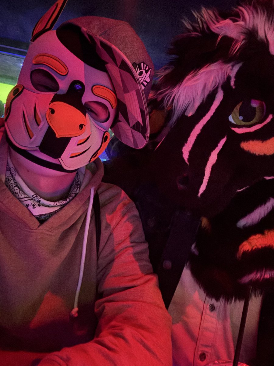 Oh shit, they made the Zootopia zebros in real life

<a href="/zebreReve/">rêv |lIl| zebracake.bsky.social</a> 

#Zootopia2