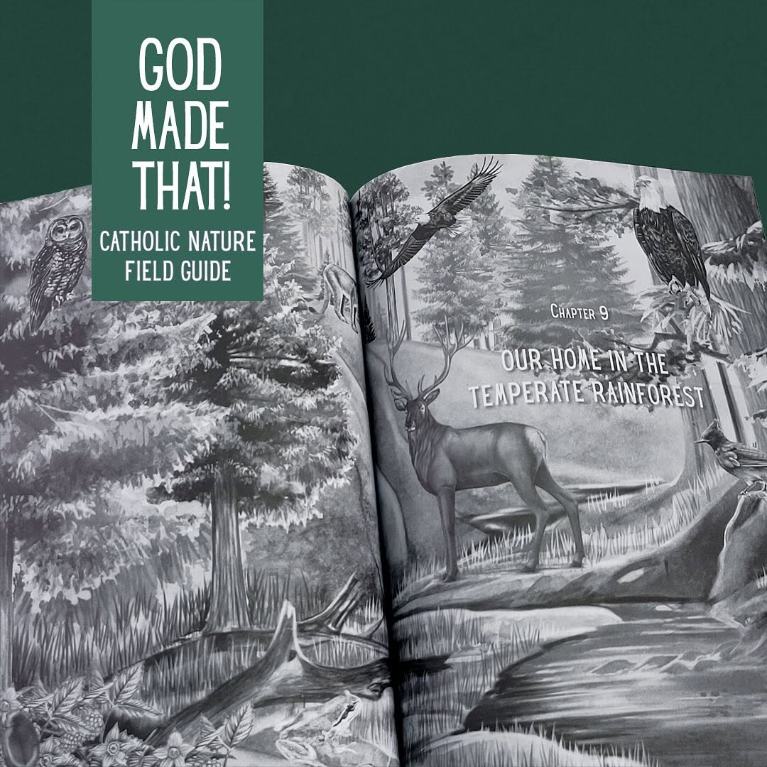 Saint Kateri Conservation Center tweet media