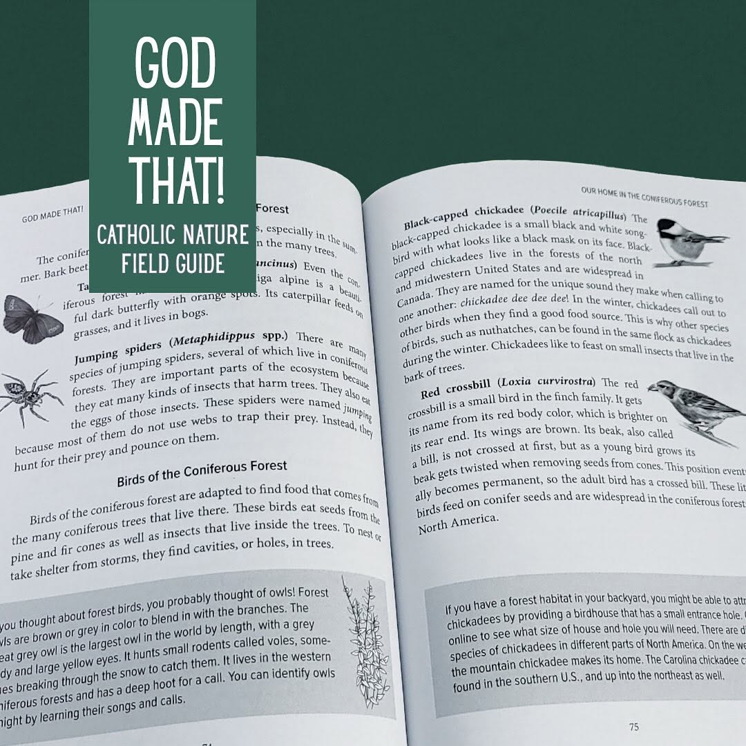 Saint Kateri Conservation Center tweet media