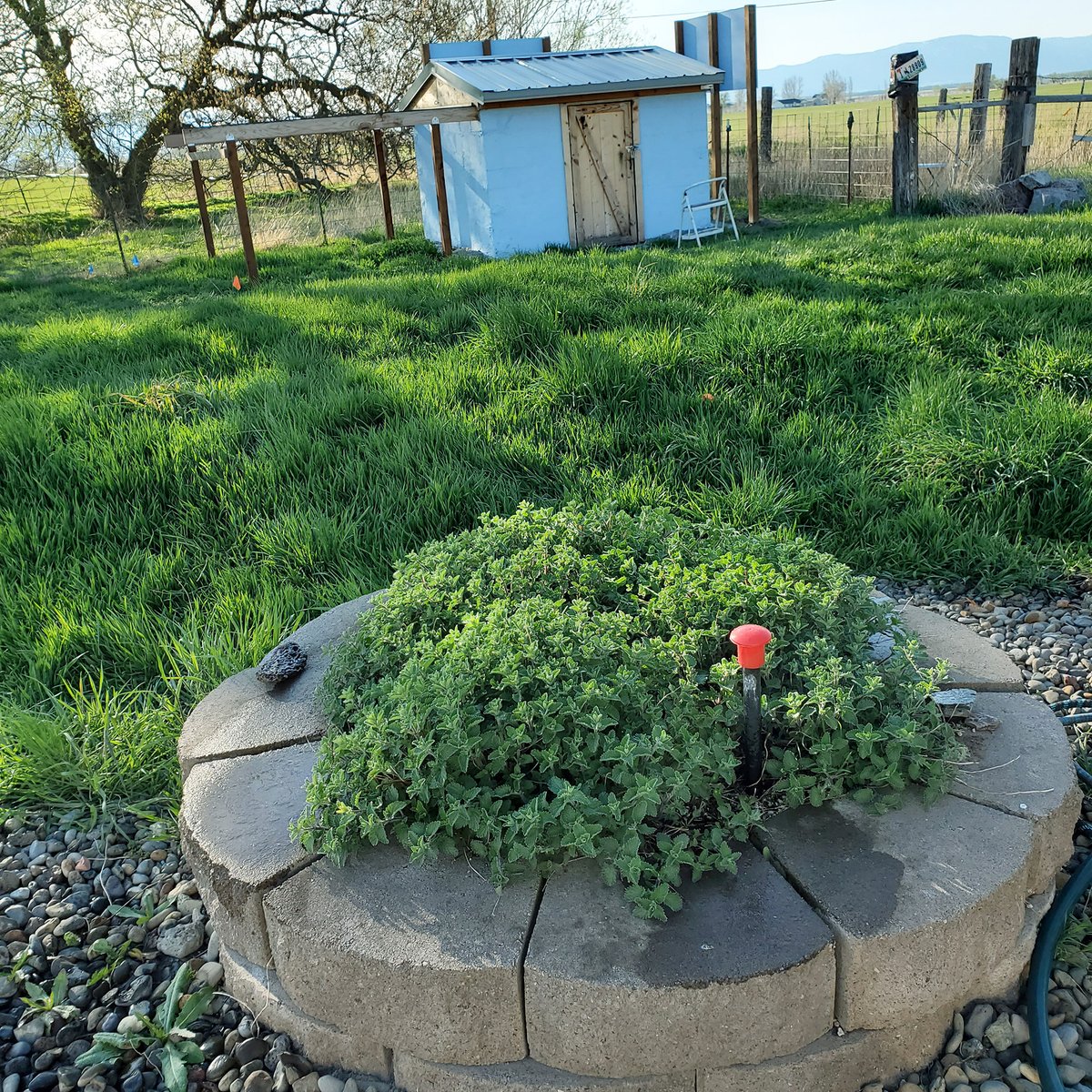 Michael W. Dean tweet media