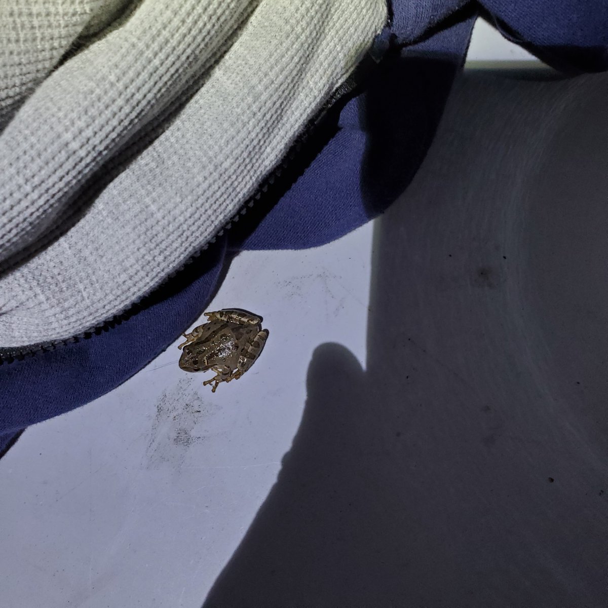 Michael W. Dean tweet media