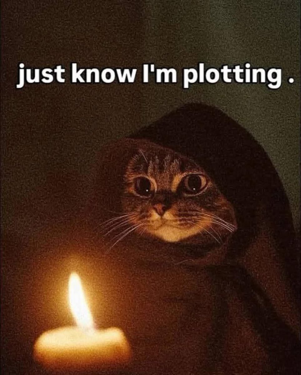 smol silly cat (@catsillyness) on Twitter photo 