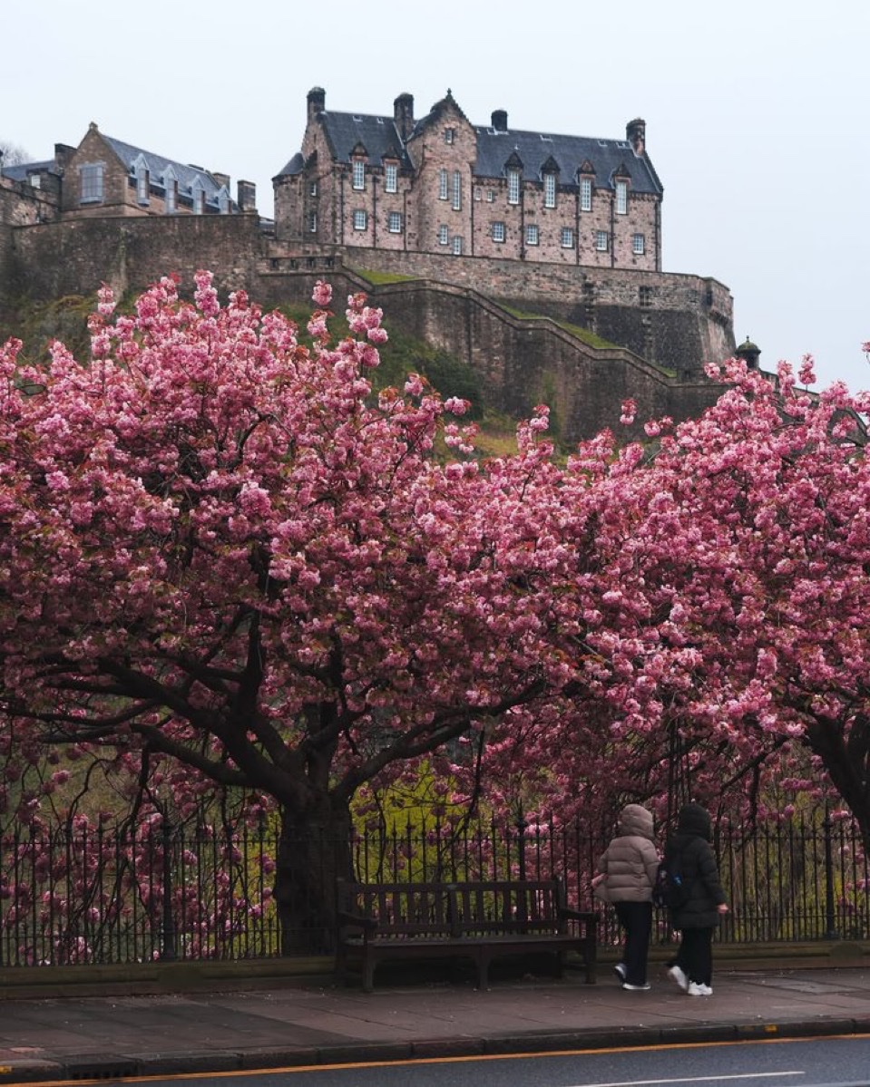 purelivn's tweet image. Edinburgh