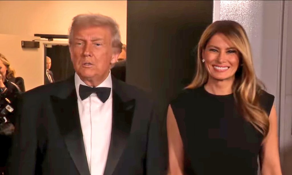 Whale Psychiatrist ™️ tweet media