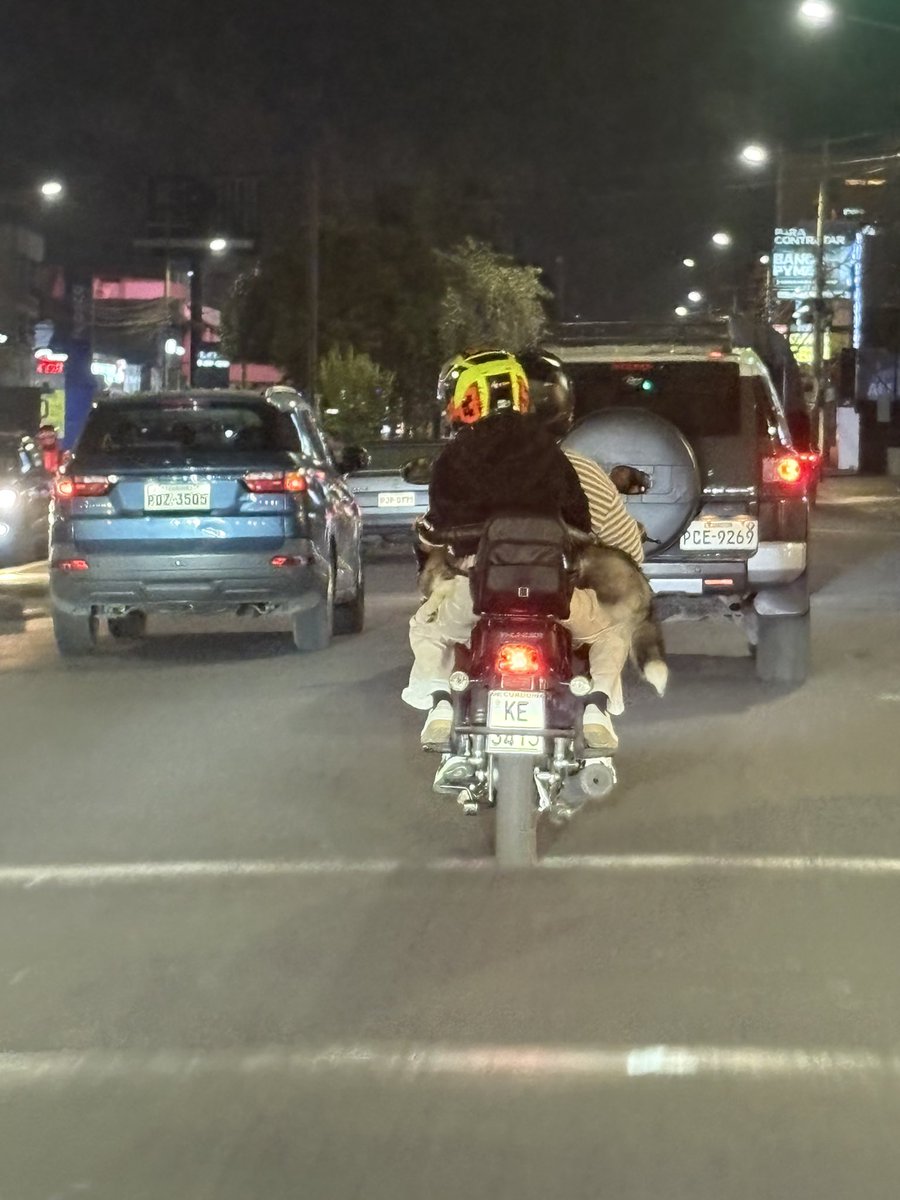 drgodzuki's tweet photo. De los creadores llevemos más de uno en las motos se vienen los llevemos a pasear al perro https://t.co/XCsshh3j2C